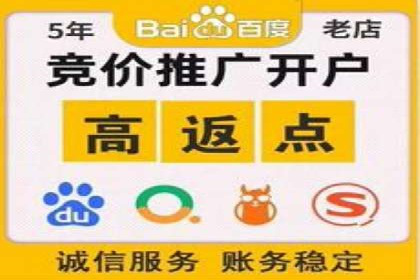 行业专家解析SEM代运营成功案例
