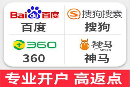 专业SEM服务托管方案案例分析